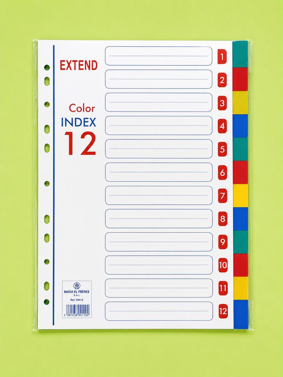 jeu d'intercalaires de couleur en carton (12 intercalaires) / Set of 12 cardboard dividers
